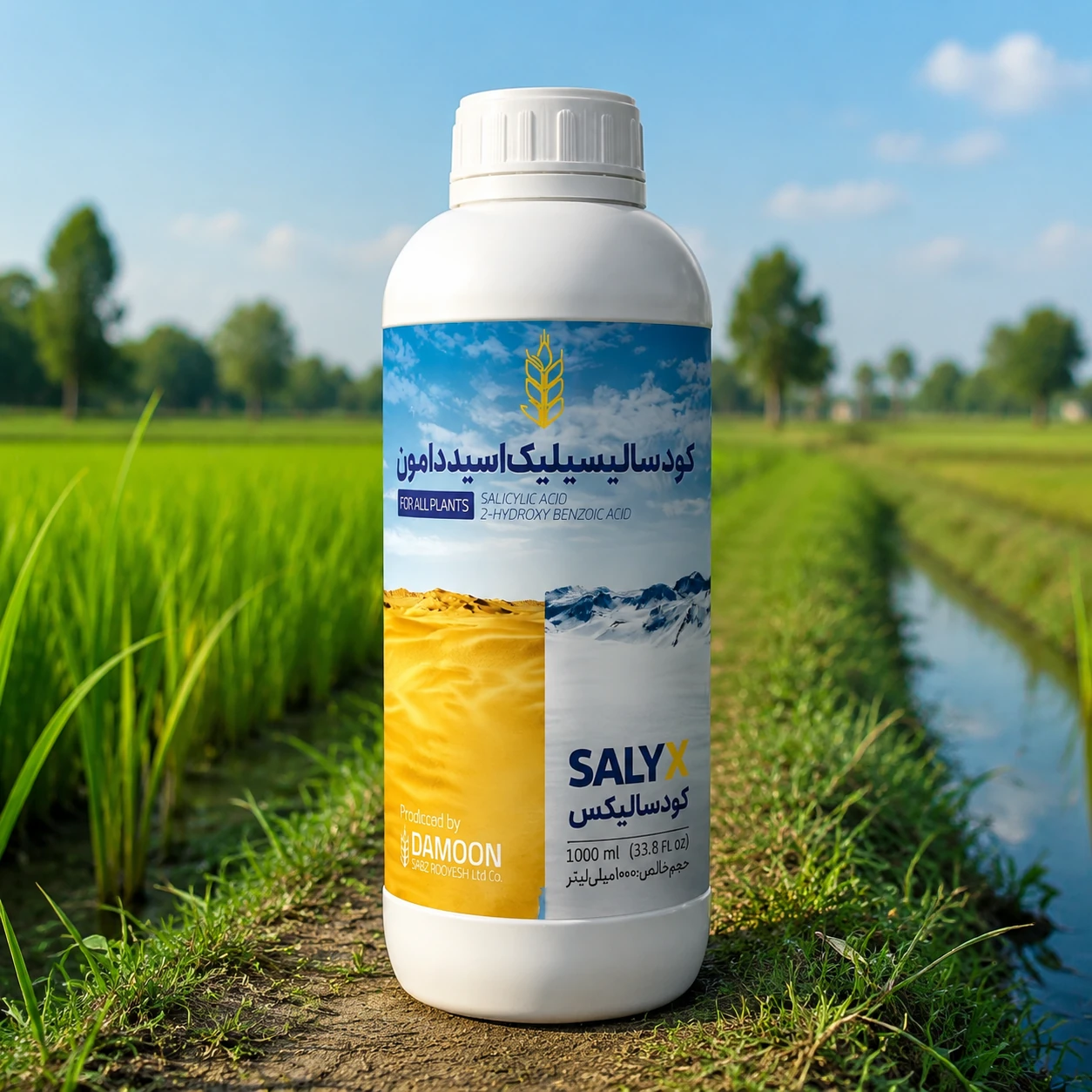 salyx c