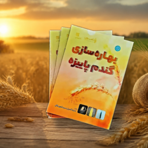 بهاره سازی گندم پاییزه