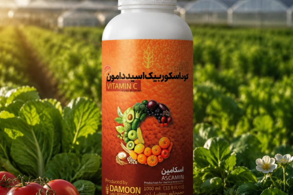 ASCAMIN G